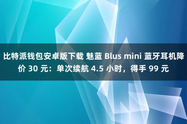 比特派钱包安卓版下载 魅蓝 Blus mini 蓝牙耳机降价 30 元：单次续航 4.5 小时，得手 99 元