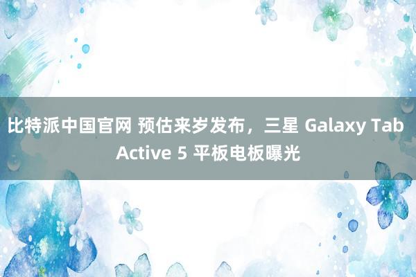 比特派中国官网 预估来岁发布，三星 Galaxy Tab Active 5 平板电板曝光
