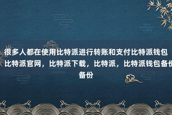 很多人都在使用比特派进行转账和支付比特派钱包，比特派官网，比特派下载，比特派，比特派钱包备份