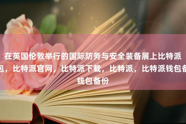 在英国伦敦举行的国际防务与安全装备展上比特派钱包，比特派官网，比特派下载，比特派，比特派钱包备份