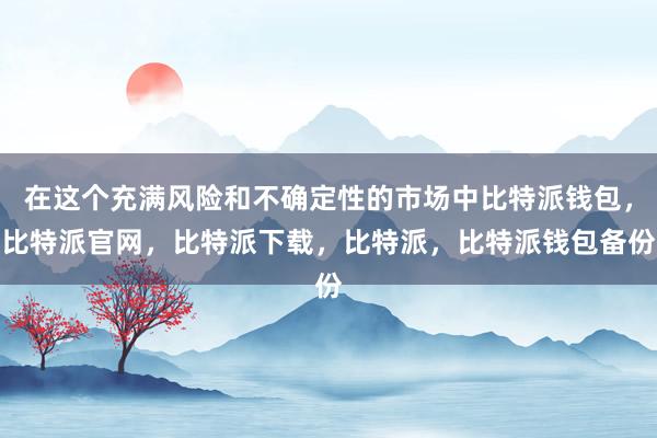 在这个充满风险和不确定性的市场中比特派钱包，比特派官网，比特派下载，比特派，比特派钱包备份