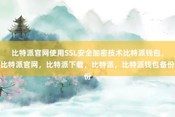 比特派官网使用SSL安全加密技术比特派钱包，比特派官网，比特派下载，比特派，比特派钱包备份