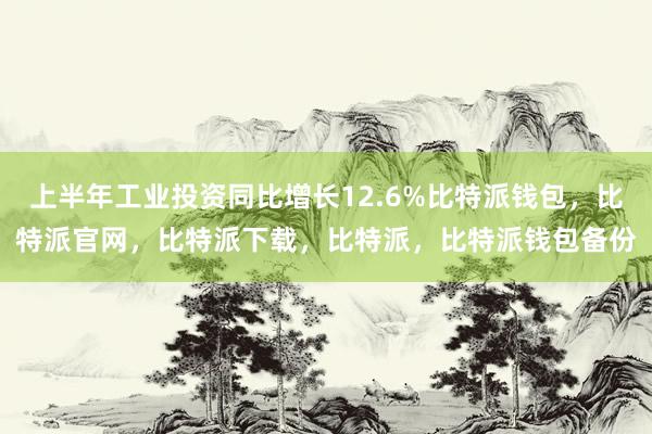 上半年工业投资同比增长12.6%比特派钱包，比特派官网，比特派下载，比特派，比特派钱包备份