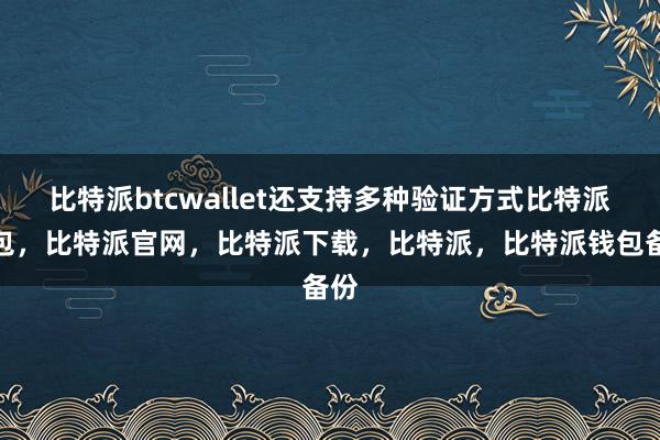 比特派btcwallet还支持多种验证方式比特派钱包，比特派官网，比特派下载，比特派，比特派钱包备份