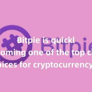 Bitpie is quickly becoming one of the top choices for cryptocurrency enthusiasts worldwide.比特派钱包，比特派官网，比特派下载，比特派，比特派钱包备份