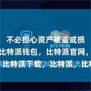 不必担心资产被盗或损失的风险比特派钱包，比特派官网，比特派下载，比特派，比特派钱包备份