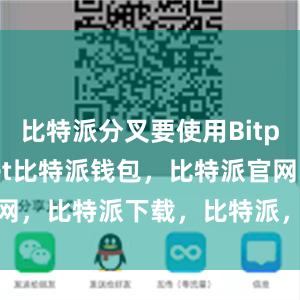 比特派分叉要使用Bitpie Wallet比特派钱包，比特派官网，比特派下载，比特派，比特派钱包备份